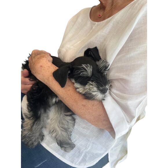 NWT Vince Camuto Summer Blue Drape Neck Sleeveless Dress  4 - Picture 12 of 12